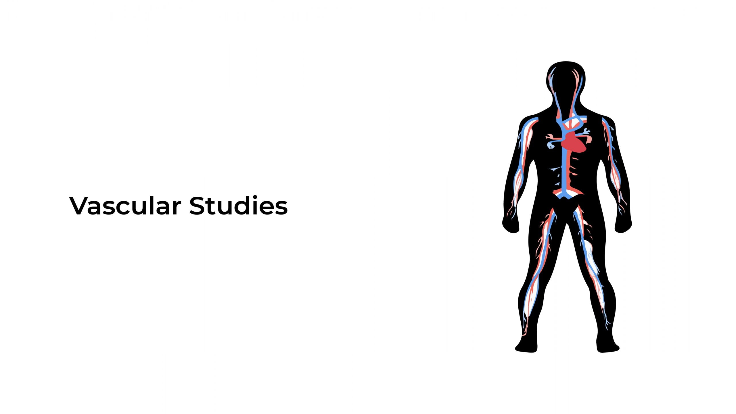 vascular-studies-statcardiologist